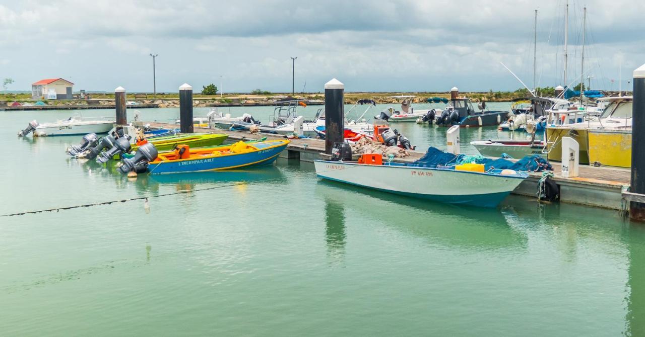 Studio Jacuzzis Et Piscine Au Centre Ville De Port-Louis Exterior foto